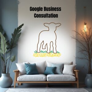 Google Business Consultation