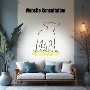 Website Consultation